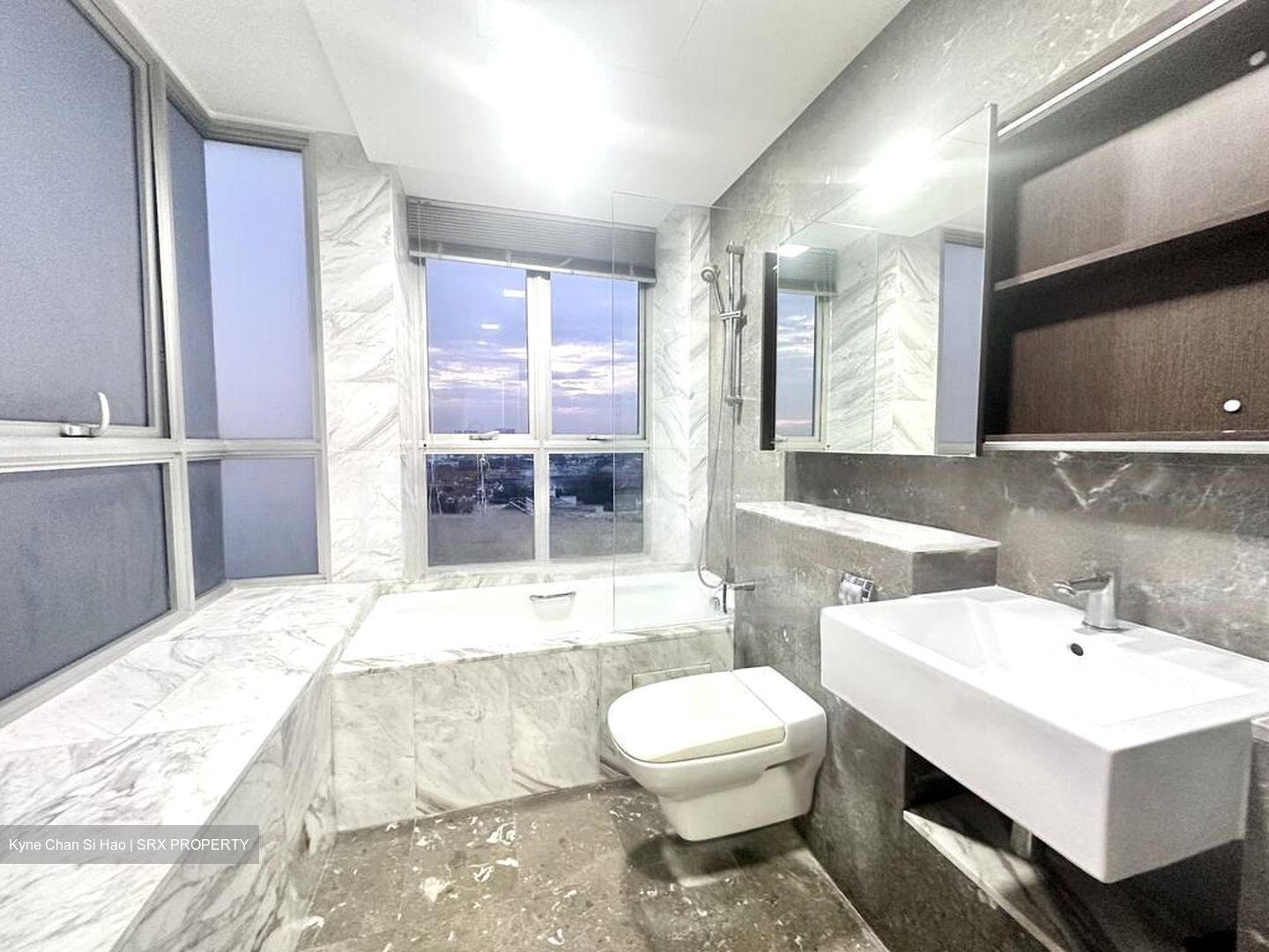 The Parc Condominium (D5), Condominium #473450831